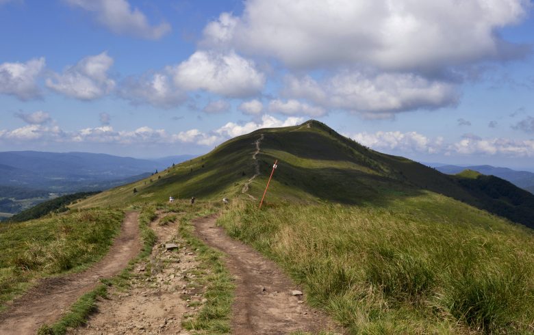 Witam witam o alt pytam